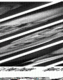 /album/bigrafias/peter-drucker-gif1/